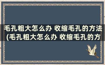 毛孔粗大怎么办 收缩毛孔的方法(毛孔粗大怎么办 收缩毛孔的方法有哪些)